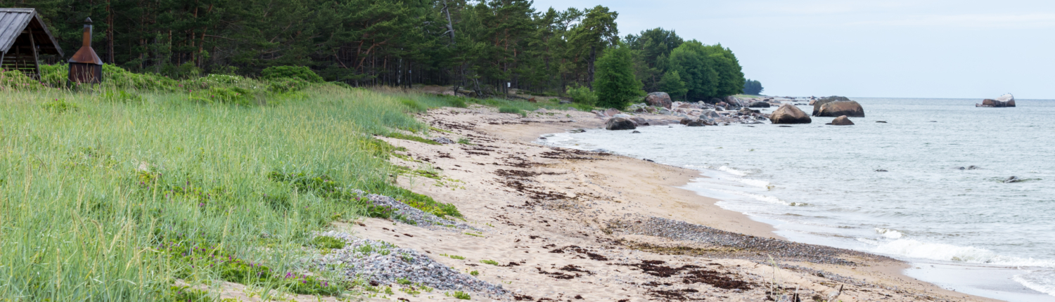 Purjetamine Naissaarele