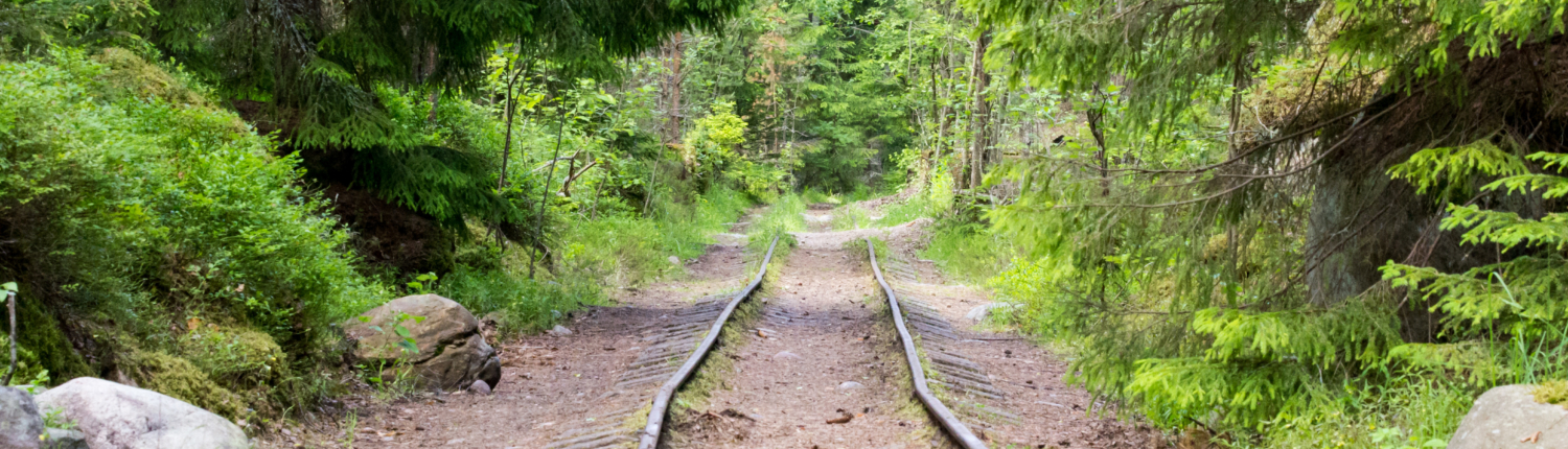 purjetamine Naissaarele